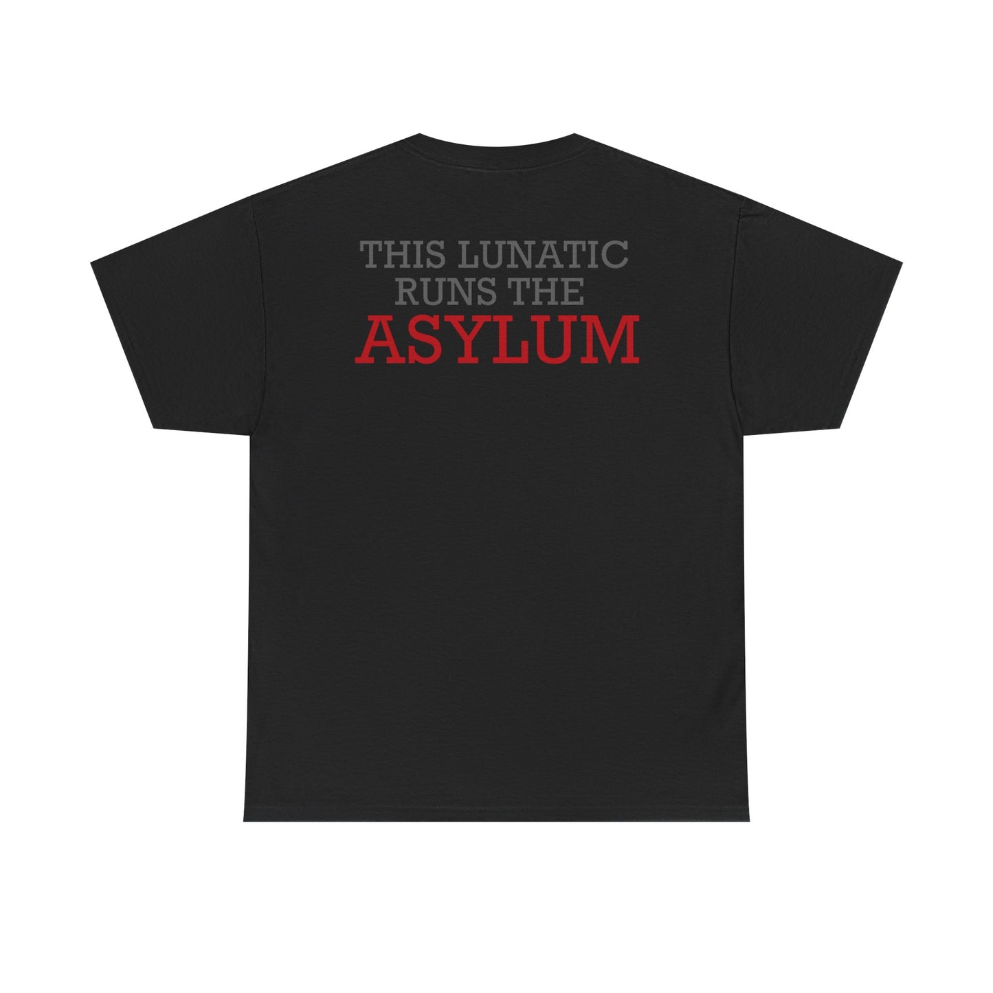 Dean Ambrose This Lunatic Runs The Asylum Black T-shirt